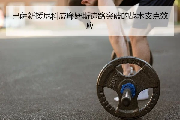 ba-sa-xin-yuan-ni-ke-wei-lian-mu-si-bian-lu-tu-po-de-zhan-shu-zhi-dian-xiao-ying-2-503.jpg