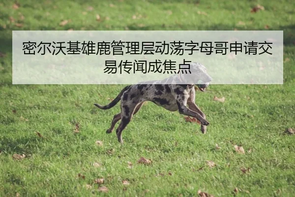 密尔沃基雄鹿管理层动荡字母哥申请交易传闻成焦点